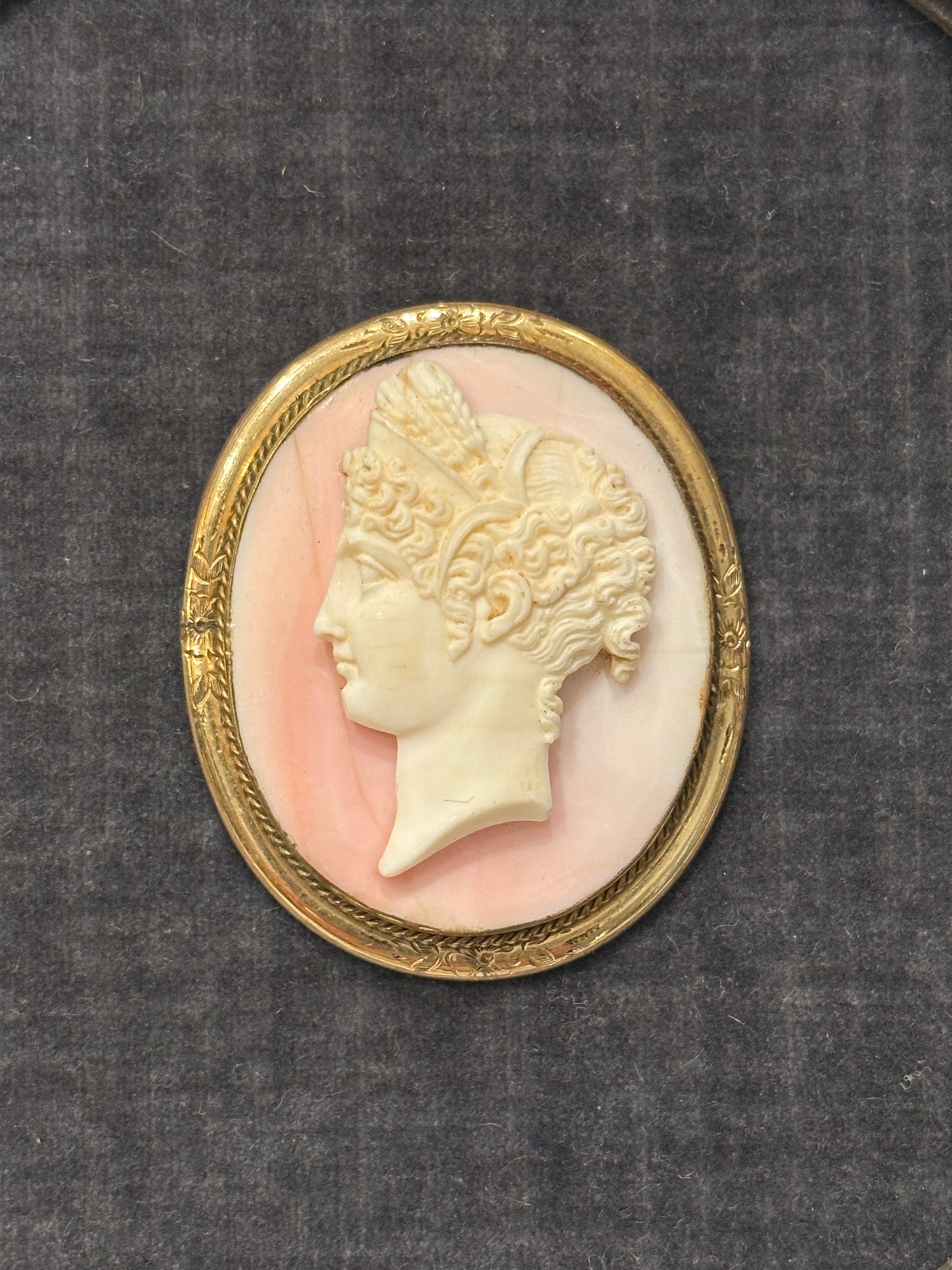 Victorian shell cameo of Athena in black round frame with brass bezel, closeup