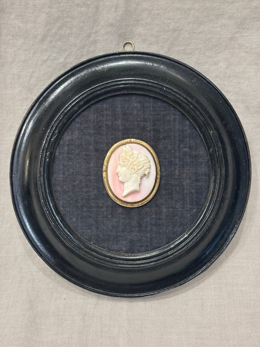 Victorian shell cameo of Athena in black round frame with brass bezel
